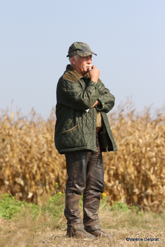 Field Erstein 09 (29).JPG